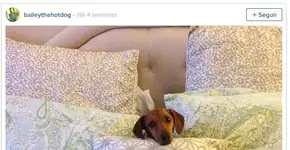 Conheça sete razões pelas quais você deveria arrumar sua cama todos os dias