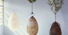 Foto: (Imagem sem texto alternativo disponivel ID [1831512])