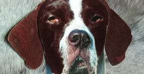 Escritora lança livro infantil com leitura inclusiva