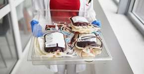 Saiba quais são os tipos sanguíneos raros e como é feita a busca por eles