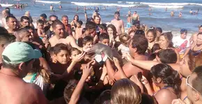 Foto: (Imagem sem texto alternativo disponivel ID [1034816])