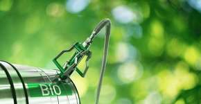 Foto: (Scharfsinn86/iStock)