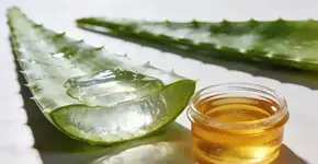 Foto: (Imagem sem texto alternativo disponivel ID [2701268])