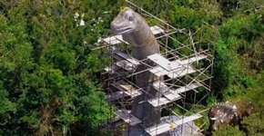 Foto: (Reprodução/Instagram@DIVISIONIMAGENS)