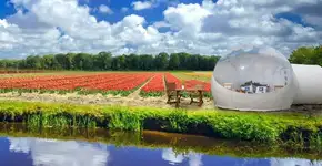 Foto: (Imagem sem texto alternativo disponivel ID [1563951])