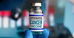 Foto: (angelp/istock)