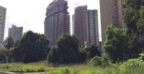 Foto: (Imagem sem texto alternativo disponivel ID [1867889])