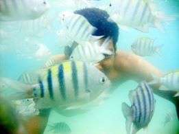 Maragogi, Alagoas/ Foto: Ed Melo 