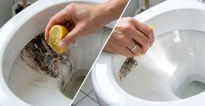 Os benefícios de jogar sumo de limão no vaso sanitário