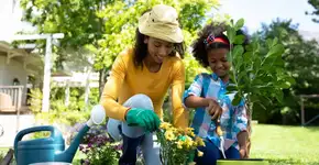 O que plantar em maio: hortaliças e flores ideais para cultivar no mês