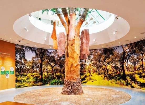 Museu da Cortiça WOW