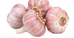 Foto: (Imagem sem texto alternativo disponivel ID [787075])