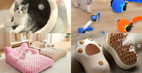 Foto: (Temu - Divulgação)