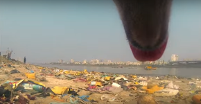 Foto: (Imagem sem texto alternativo disponivel ID [1087042])