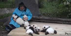 Foto: (Imagem sem texto alternativo disponivel ID [1171459])