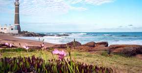 Foto: (Getty Images/iStockphoto)