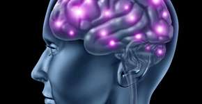 Foto: (lightsource/DepositPhotos)