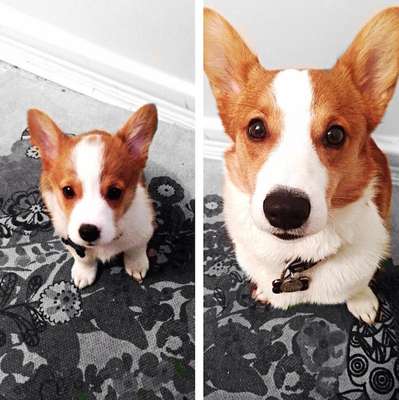 6 meses de diferença (Imagem: onthejobfinds)