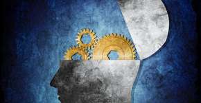 Veduca disponibiliza cursos gratuitos de Psicologia das melhores universidades