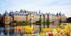 Foto: (neirfy/iStock)