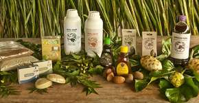 Foto: (Imagem sem texto alternativo disponivel ID [1829498])