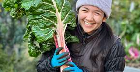 7 superalimentos para adicionar à dieta e melhorar a saúde