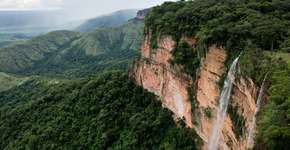 Qualquer pessoa pode ficar de olho no desmatamento no Cerrado