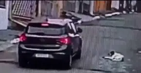 Motorista atropela cachorro de propósito na zona leste de SP