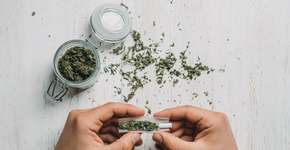 Instituto contrata pessoas para ‘bolar’ cigarros de maconha