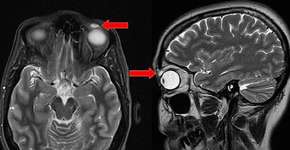 Foto: (reproducção/Daily Mail)