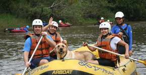 Foto: (Imagem sem texto alternativo disponivel ID [1508510])