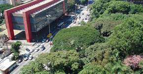 Andando por SP #24 – Explore o Parque Trianon