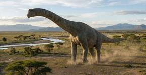 Foto: (Imagem sem texto alternativo disponivel ID [2786608])