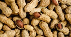 Foto: (Getty Images)