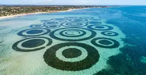 Eles são chamados de “donuts” e parecem círculos de fadas debaixo d’água, mas a ciência está confusa porque ninguém ainda sabe qual mecanismo desenha esses anéis gigantes perfeitos no fundo do mar ao largo da costa da Escócia