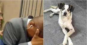 Segurança confessa agressões a cachorro morto no Carrefour