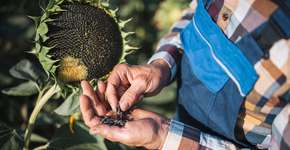 Foto: (Getty Images)