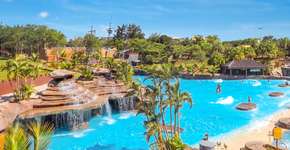 Foto: (Divulgação)