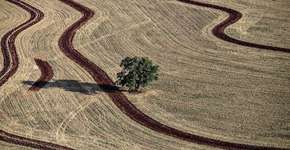 Foto: (GustavoCarneiro)