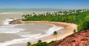 Gol faz promoção relâmpago de passagens a partir de R$ 171,52