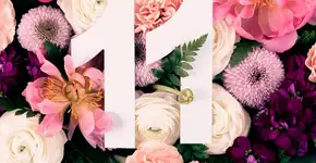 Portal energético 11/11: aprenda rituais para o dia mais poderoso do ano