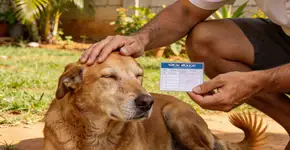 Foto: (Imagem sem texto alternativo disponivel ID [2679270])