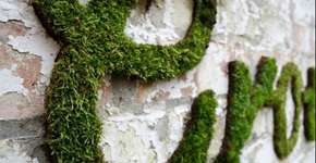 Foto: (Imagem sem texto alternativo disponivel ID [472267])