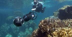 Câmeras subaquáticas mostram destruição dos recifes de corais ao redor do mundo