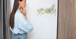 Foto: (Imagem sem texto alternativo disponivel ID [2597876])