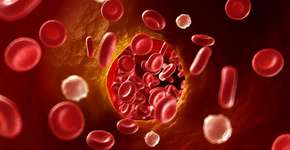 Foto: (iStock/SciePro)