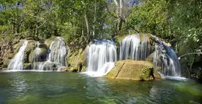 5 motivos para você querer visitar Bonito (MS) hoje mesmo