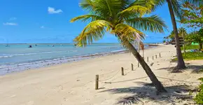 Gol tem passagens em promoção a partir de R$ 134,21