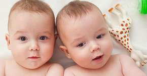 Foto: (Imagem sem texto alternativo disponivel ID [1833785])