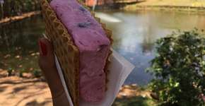 Foto: (Arquivo pessoal)